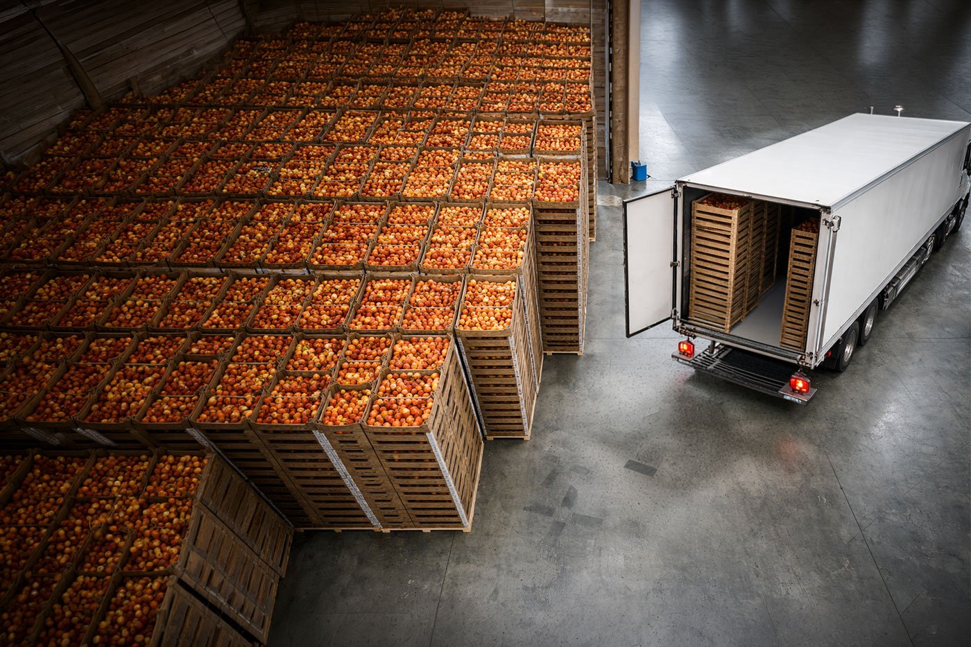 Importación y Comercio